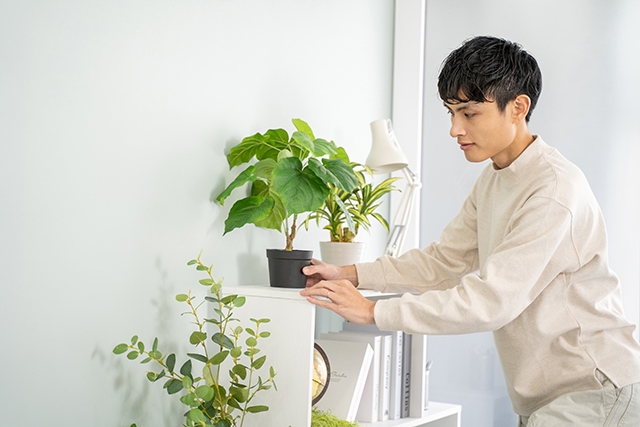腰椎椎間板ヘルニア:このような効果が期待できます